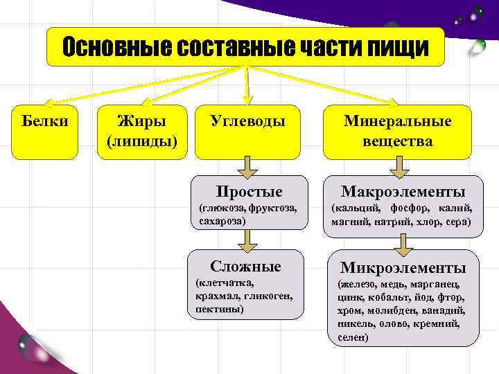 Основные составные части пищи Белки Жиры (липиды) Углеводы Минеральные вещества Простые Макроэлементы (глюкоза, фруктоза,