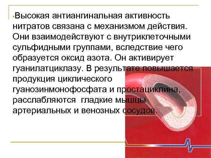  • Высокая антиангинальная активность нитратов связана с механизмом действия. Они взаимодействуют с внутриклеточными