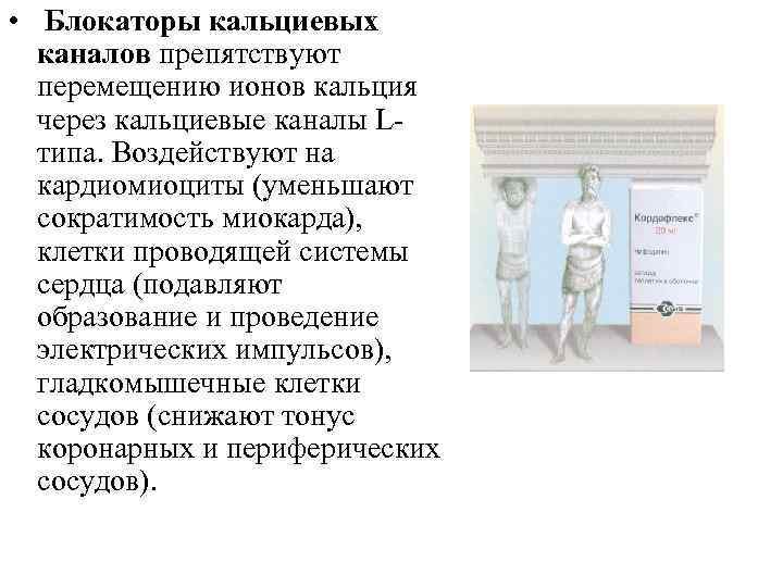  • Блокаторы кальциевых каналов препятствуют перемещению ионов кальция через кальциевые каналы L типа.