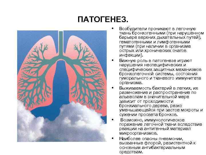 ПАТОГЕНЕЗ. • • • Возбудители проникают в легочную ткань бронхогенными (при нарушенном барьере верхних
