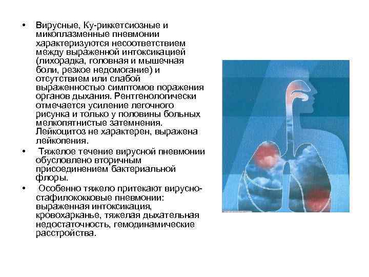  • • • Вирусные, Ку риккетсиозные и микоплазменные пневмонии характеризуются несоответствием между выраженной