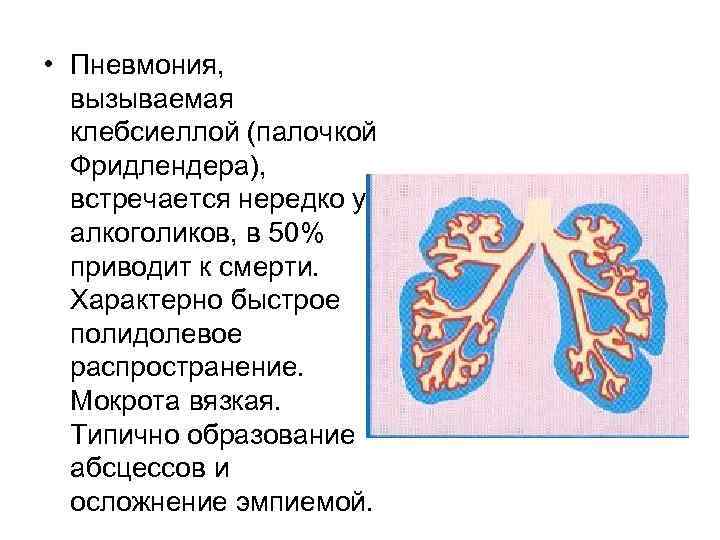  • Пневмония, вызываемая клебсиеллой (палочкой Фридлендера), встречается нередко у алкоголиков, в 50% приводит