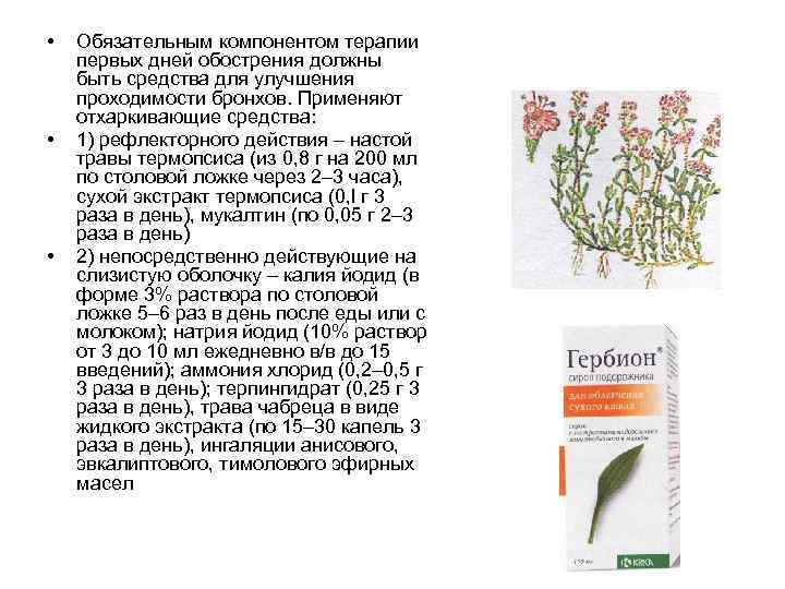  • • • Обязательным компонентом терапии первых дней обострения должны быть средства для