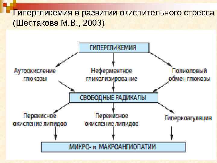 Гипергликемия в развитии окислительного стресса (Шестакова М. В. , 2003) 