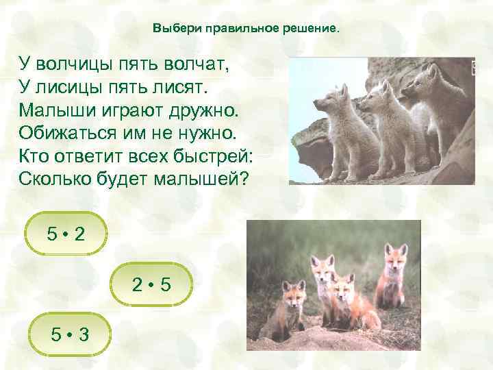 Выбери правильное решение. У волчицы пять волчат, У лисицы пять лисят. Малыши играют дружно.