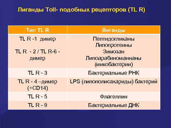 Лиганды Toll- подобных рецепторов (TL R) Тип TL R Лиганды TL R -1 димер