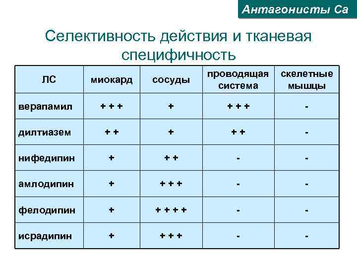 Антагонисты Са Селективность действия и тканевая специфичность миокард сосуды проводящая система скелетные мышцы верапамил