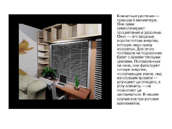  • Комнатные растения — природа в миниатюре. Они сами символизируют процветание и здоровье.