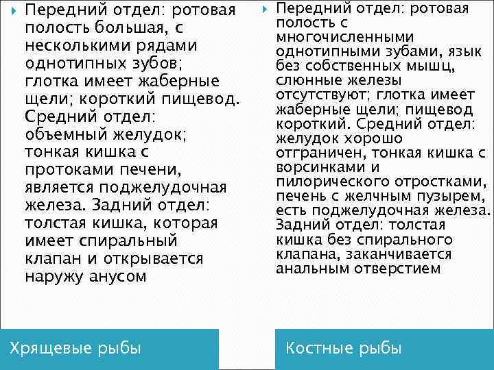  Передний отдел: ротовая полость большая, с несколькими рядами однотипных зубов; глотка имеет жаберные