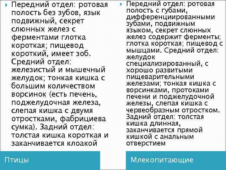  Передний отдел: ротовая полость без зубов, язык подвижный, секрет слюнных желез с ферментами