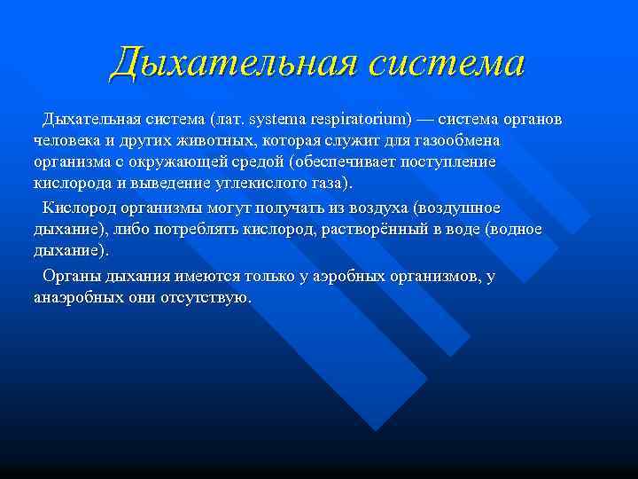 Дыхательная система (лат. systema respiratorium) — система органов человека и других животных, которая служит