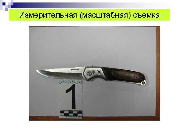 Измерительная (масштабная) съемка 