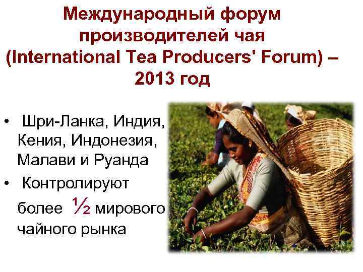 Международный форум производителей чая (International Tea Producers' Forum) – 2013 год • Шри-Ланка, Индия,