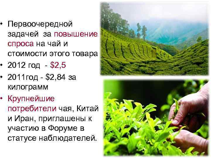 • Первоочередной задачей за повышение спроса на чай и стоимости этого товара •