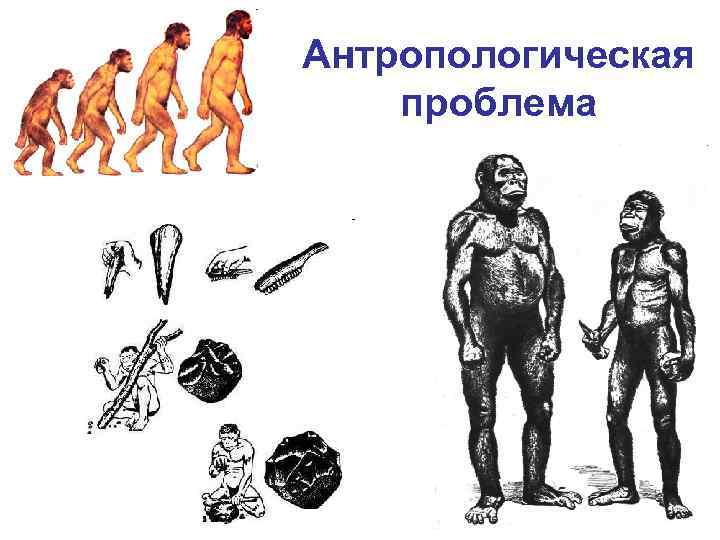 Антропологическая проблема 