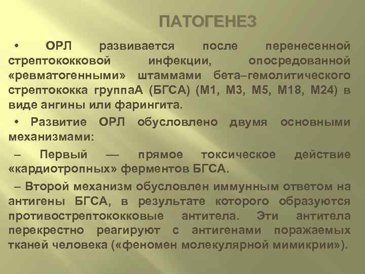 ПАТОГЕНЕЗ • ОРЛ развивается после перенесенной стрептококковой инфекции, опосредованной «ревматогенными» штаммами бета–гемолитического стрептококка группа.