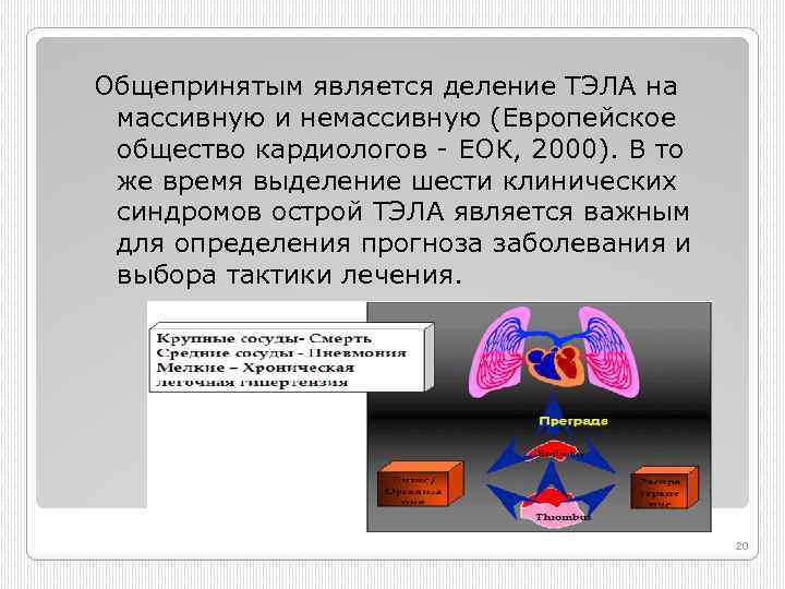 Общепринятым является деление ТЭЛА на массивную и немассивную (Европейское общество кардиологов ЕОК, 2000). В