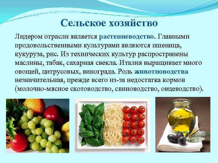 Сельское хозяйство Лидером отрасли является растениеводство. Главными продовольственными культурами являются пшеница, кукуруза, рис. Из