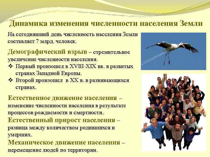 Динамика изменения численности населения Земли На сегодняшний день численность населения Земли составляет 7 млрд.