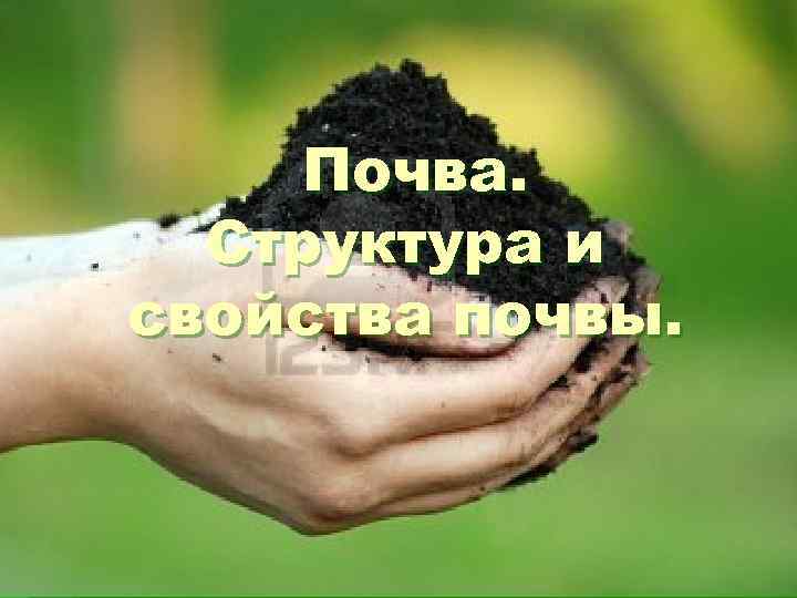 Почва. Структура и свойства почвы. 