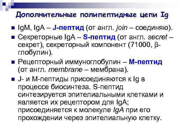 Дополнительные полипептидные цепи Ig n n Ig. M, Ig. A – J-пептид (от англ.