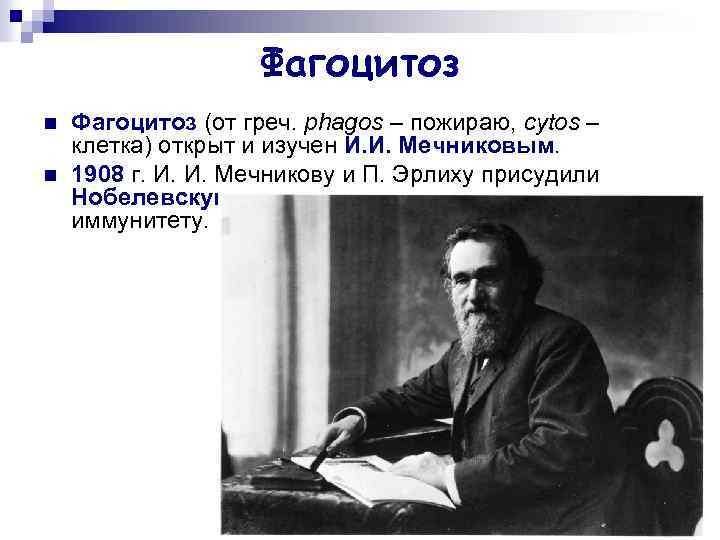 Фагоцитоз n n Фагоцитоз (от греч. phagos – пожираю, cytos – клетка) открыт и