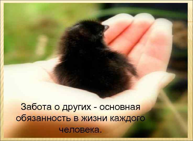 Забота о других - основная обязанность в жизни каждого человека. 