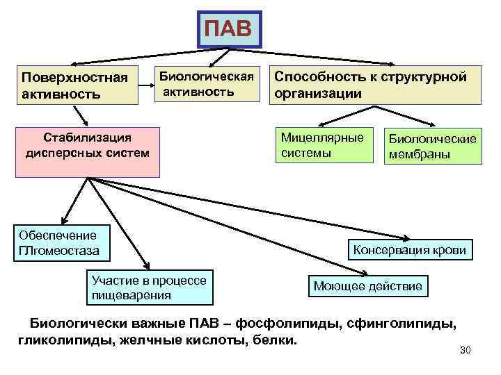 Активность биология