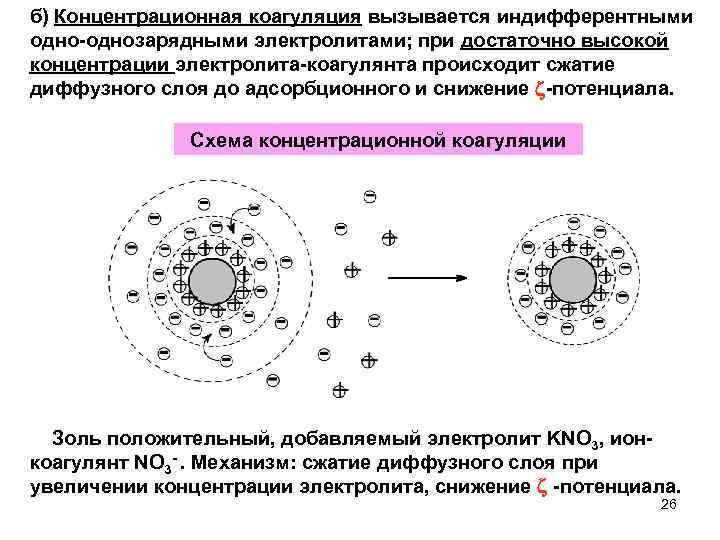 Однозарядный катион