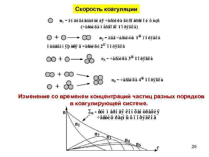 Скорость коагуляции Изменение со временем концентраций частиц разных порядков в коагулирующей системе. 29 