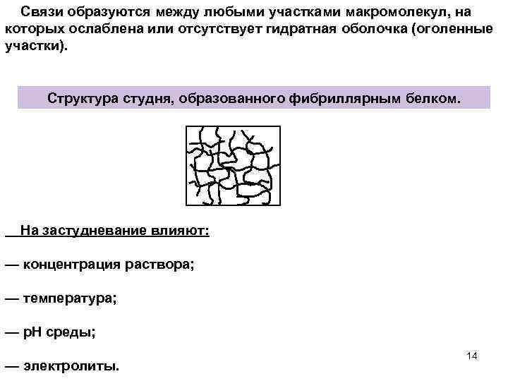 Связи образуются между любыми участками макромолекул, на которых ослаблена или отсутствует гидратная оболочка (оголенные