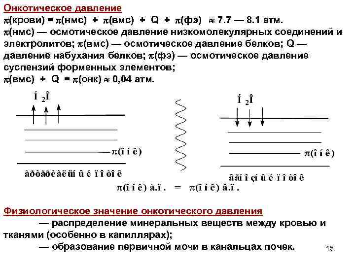 Онкотическое давление (крови) = (нмс) + (вмс) + Q + (фэ) 7. 7 —