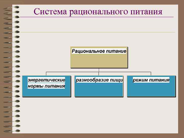 Система рационального питания 