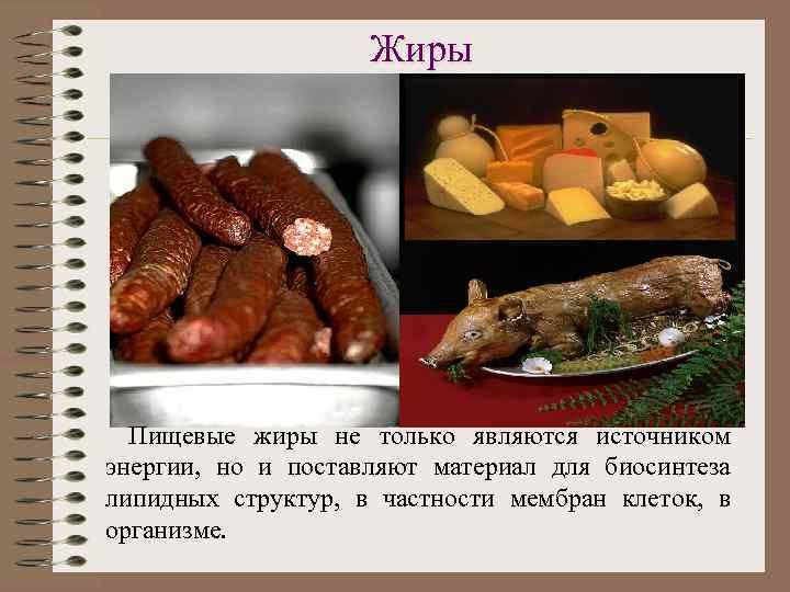 Жиры Пищевые жиры не только являются источником энергии, но и поставляют материал для биосинтеза