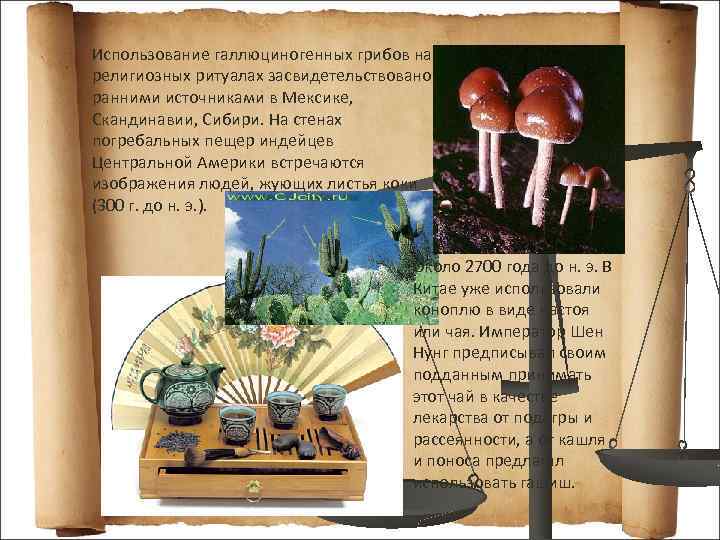 Использование галлюциногенных грибов на религиозных ритуалах засвидетельствовано ранними источниками в Мексике, Скандинавии, Сибири. На