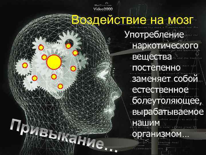 Воздействие на мозг Употребление наркотического вещества постепенно заменяет собой естественное болеутоляющее, вырабатываемое нашим организмом…