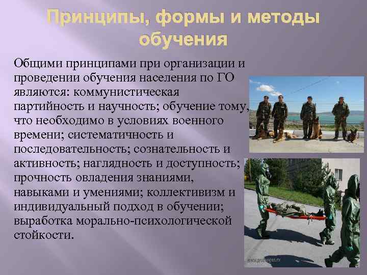 Принципы, формы и методы обучения Общими принципами при организации и проведении обучения населения по