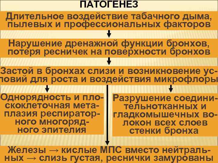 ПАТОГЕНЕЗ Длительное воздействие табачного дыма, пылевых и профессиональных факторов Нарушение дренажной функции бронхов, потеря