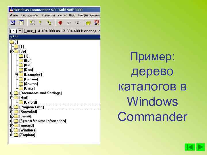 Пример: дерево каталогов в Windows Commander 