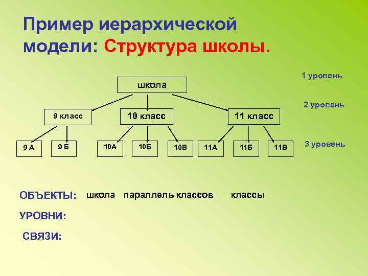 Пример иерархической модели: Структура школы. 1 уровень школа 2 уровень 10 класс 9 А