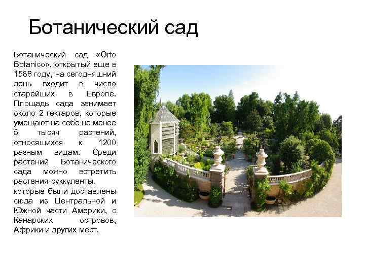 Ботанический сад «Orto Botanico» , открытый еще в 1568 году, на сегодняшний день входит