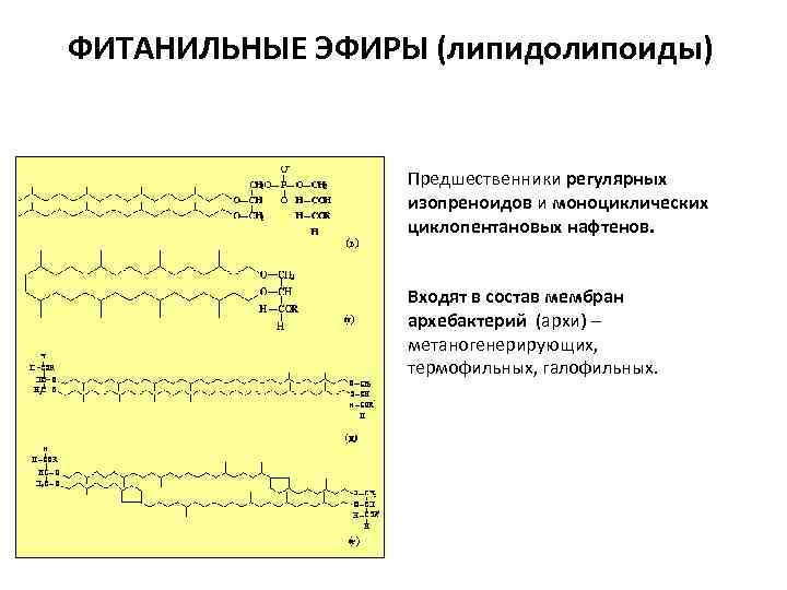 ФИТАНИЛЬНЫЕ ЭФИРЫ (липидолипоиды) Предшественники регулярных изопреноидов и моноциклических циклопентановых нафтенов. Входят в состав мембран