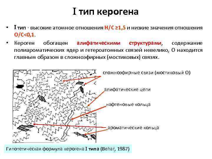  тип керогена • тип - высокие атомное отношения Н/C ≥ 1, 5 и