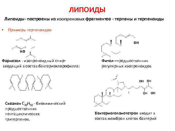 ЛИПОИДЫ Липоиды- построены из изопреновых фрагментов - терпены и терпеноиды • Примеры терпеноидов Фарнезол