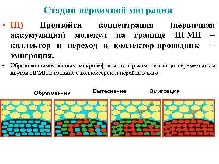 После изучения материала о миграциях составьте обобщающую схему виды