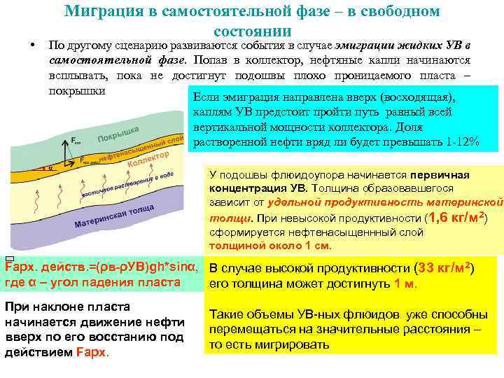  • Миграция в самостоятельной фазе – в свободном состоянии По другому сценарию развиваются