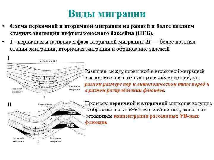 Вторично мигрирующая стадия паразита