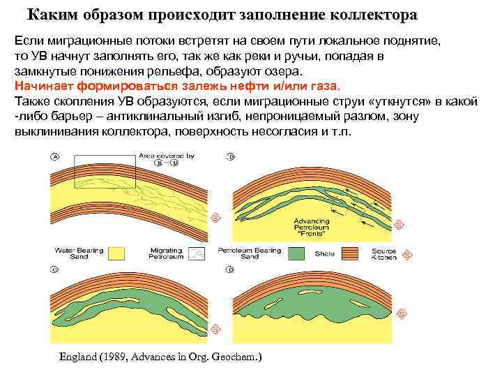 Каким образом происходит заполнение коллектора Если миграционные потоки встретят на своем пути локальное поднятие,