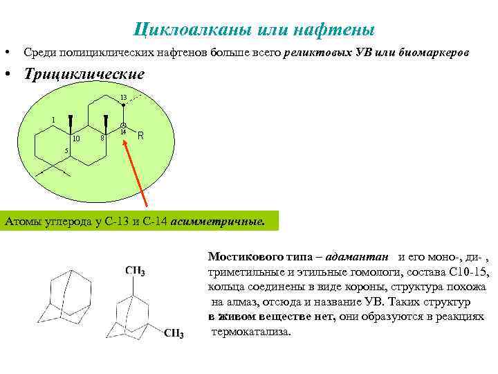 Циклоалканы или нафтены • Среди полициклических нафтенов больше всего реликтовых УВ или биомаркеров •