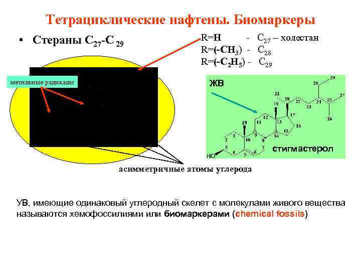 Тетрациклические нафтены. Биомаркеры • Стераны С 27 -С 29 метильные радикалы R=H - C